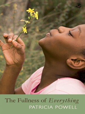 cover image of The Fullness of Everything